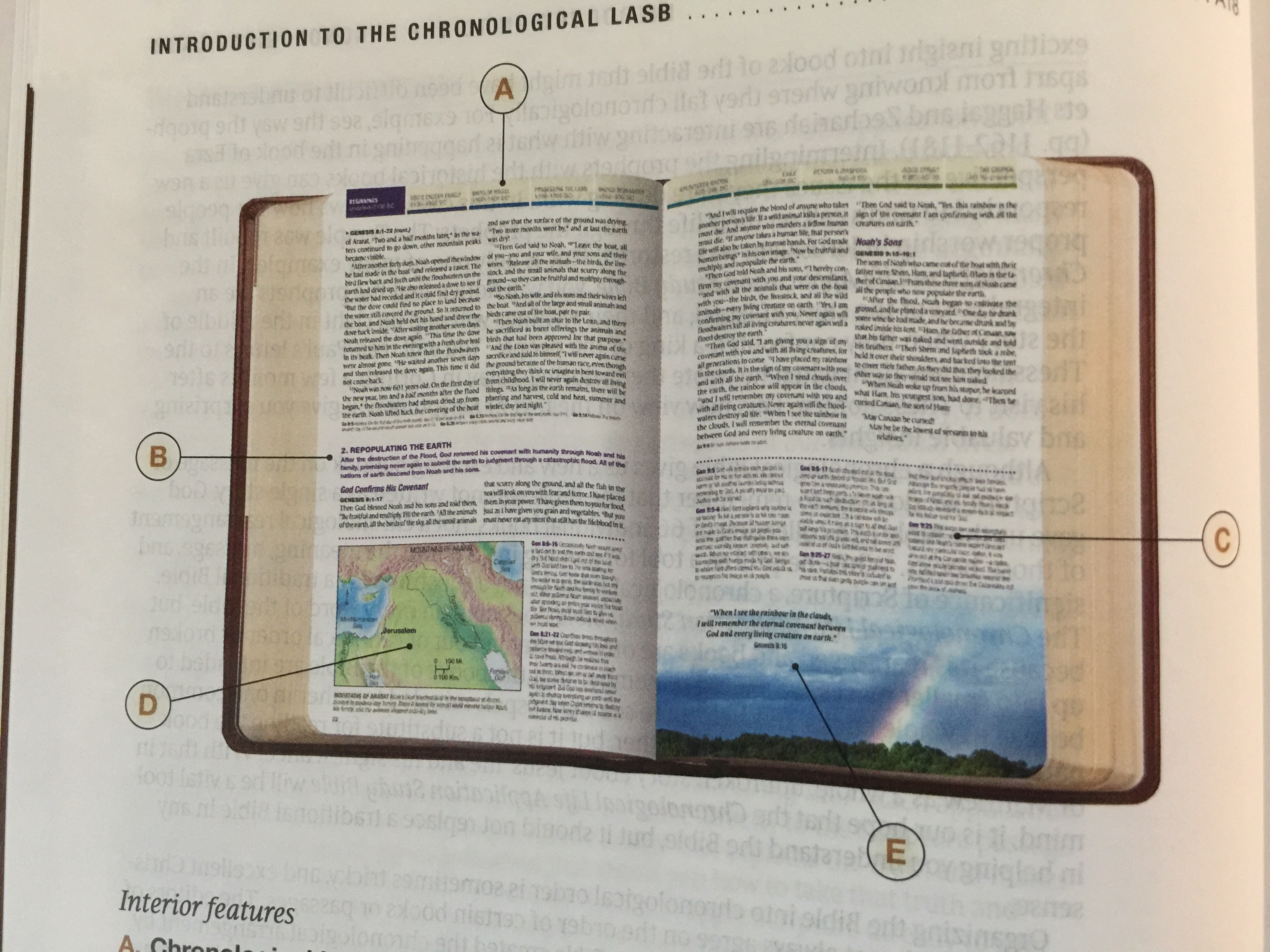 tyndale-chronological-life-application-study-bible-kjv-review-bible