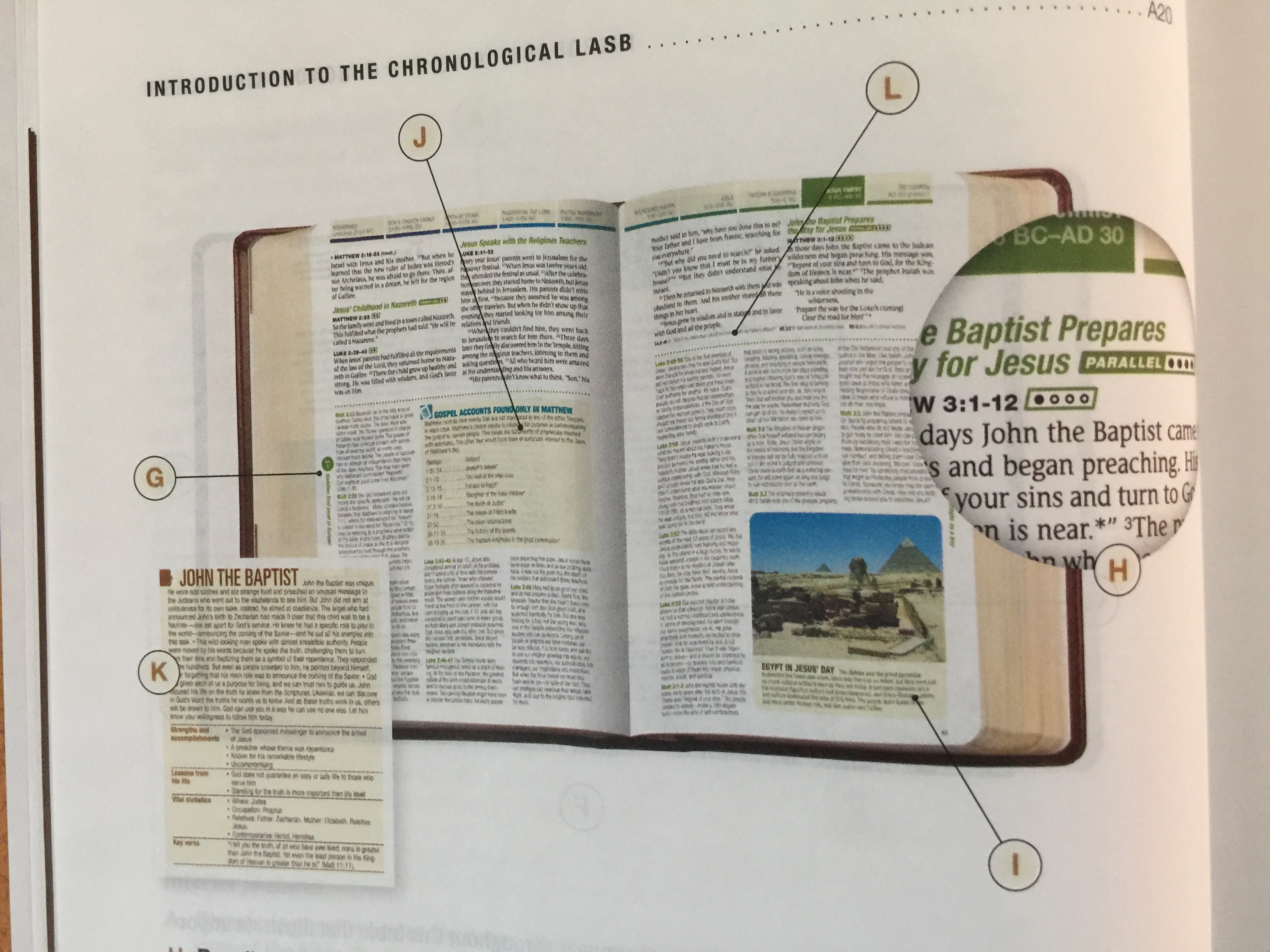 tyndale-chronological-life-application-study-bible-kjv-review-bible