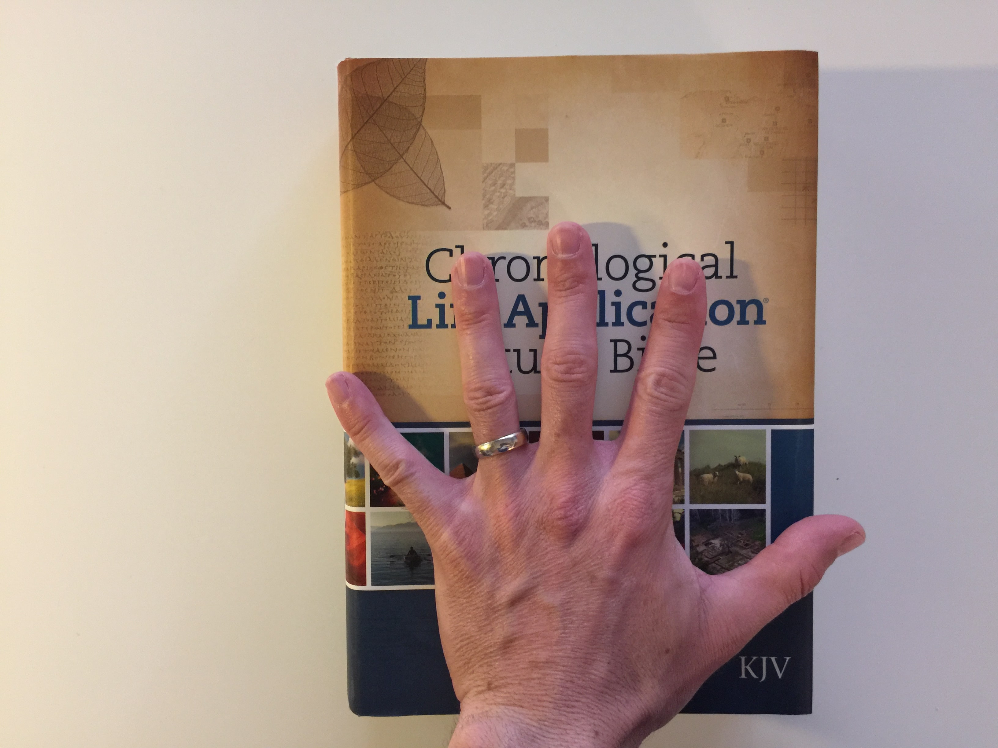 tyndale-chronological-life-application-study-bible-kjv-review-bible