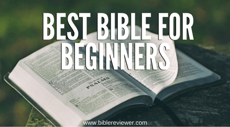 what-is-the-best-bible-for-beginners-bible-reviewer
