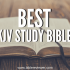 Tyndale’s Life Application New Testament Commentary Review